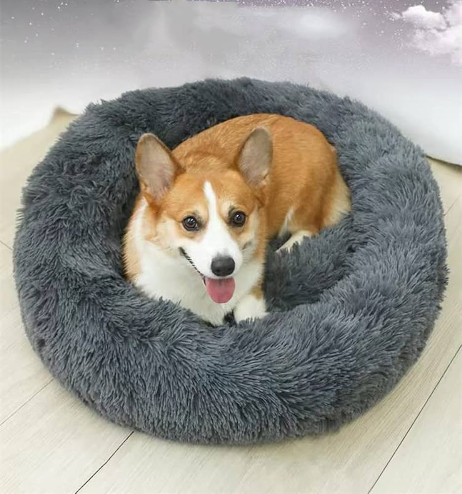 Lit pour chien PlushCloud